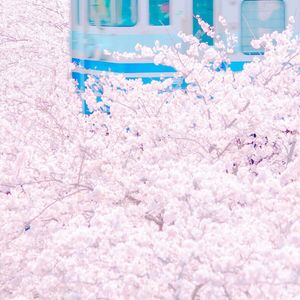 电击体罚少年by笔趣阁
