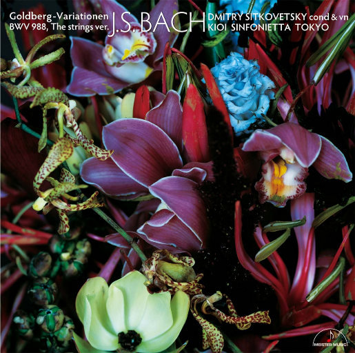 电击体罚少年by笔趣阁
